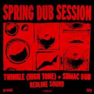 Spring Dub Session: Twinkle (high Tone)