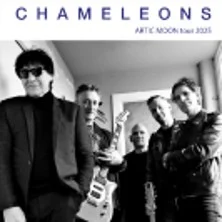 The Chameleons V