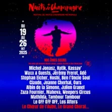 Festival Nuits De Champagne